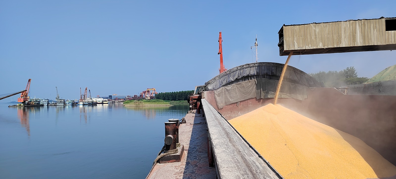 1754876277354223.jpg 5858e0ce8844a4348abe564a92a4d7a.jpg